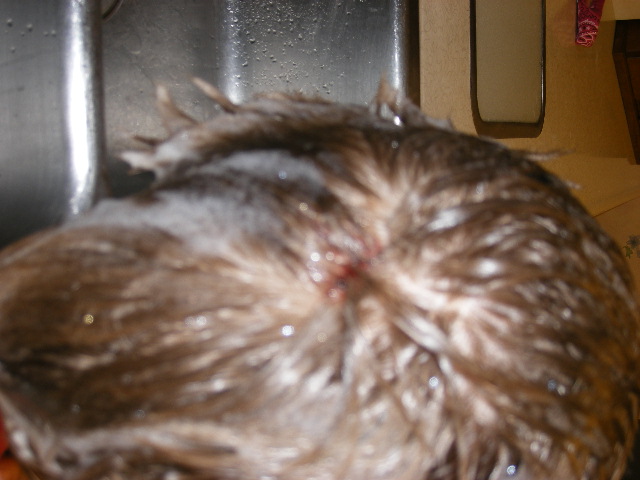 dscf3887.jpg